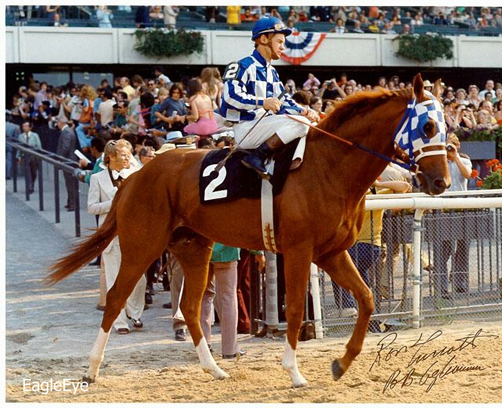 SECRETARIAT 8 X 10 PHOTO ~ HORSE RACING PICTURE Belmont Triple Crown