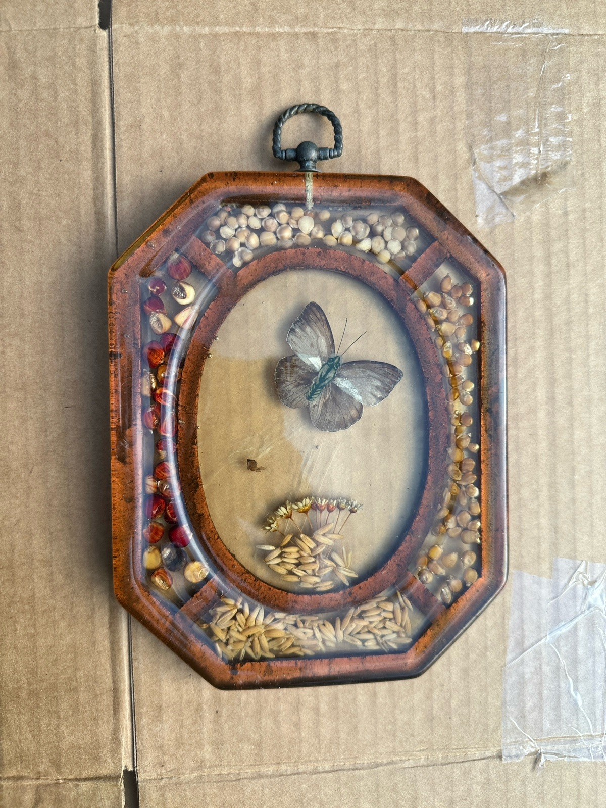 Vintage Resin Butterfly Specimen Wall Hanging Frame Dried Seeds Grains 1970s
