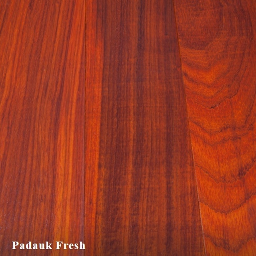 10 BOARD FEET STUNNING KILN DRIED 4/4 PADAUK LUMBER WOOD FAS GRADE