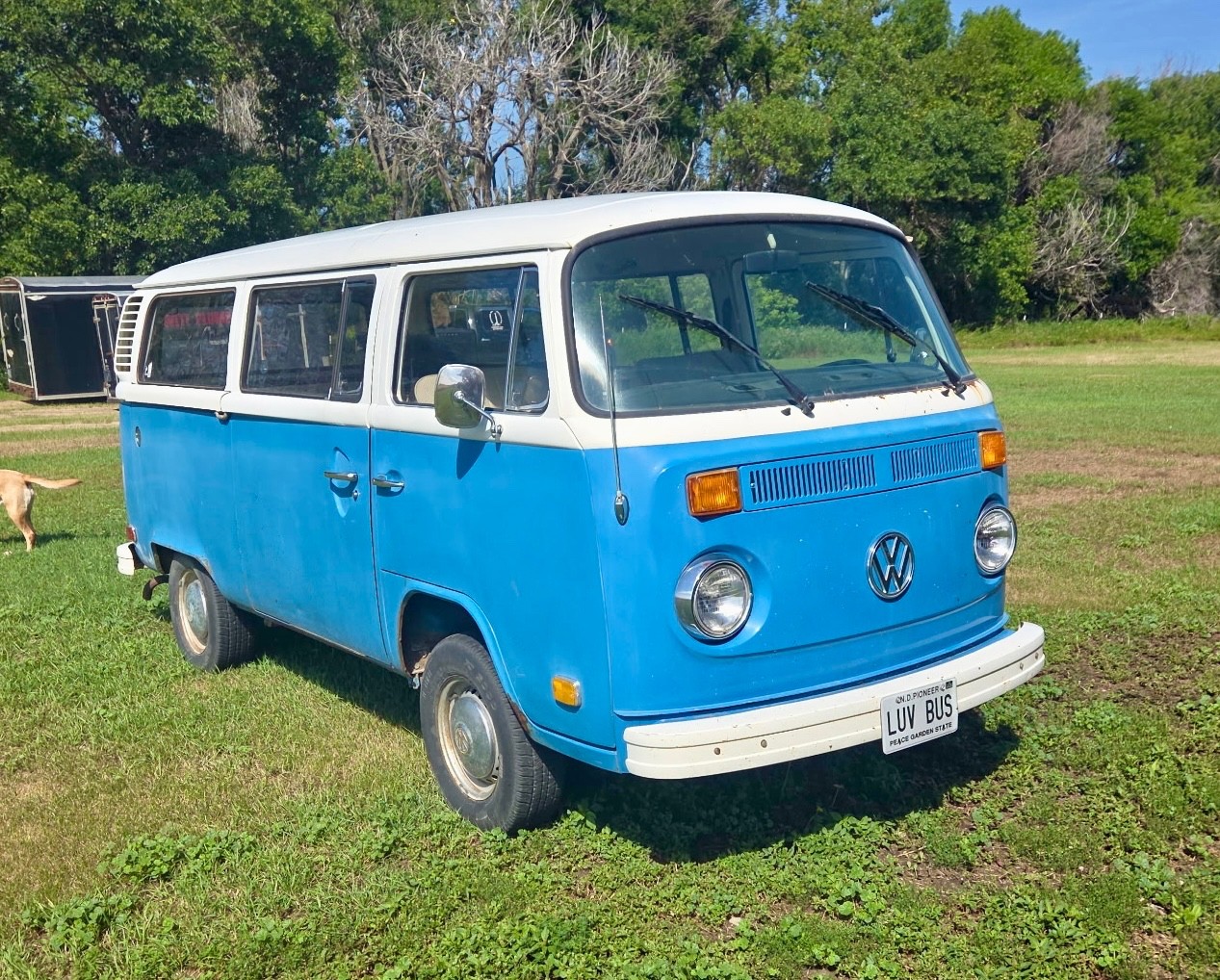1975 Volkswagen Bus/Vanagon 1975 Volkswagen Bus/Vanagon