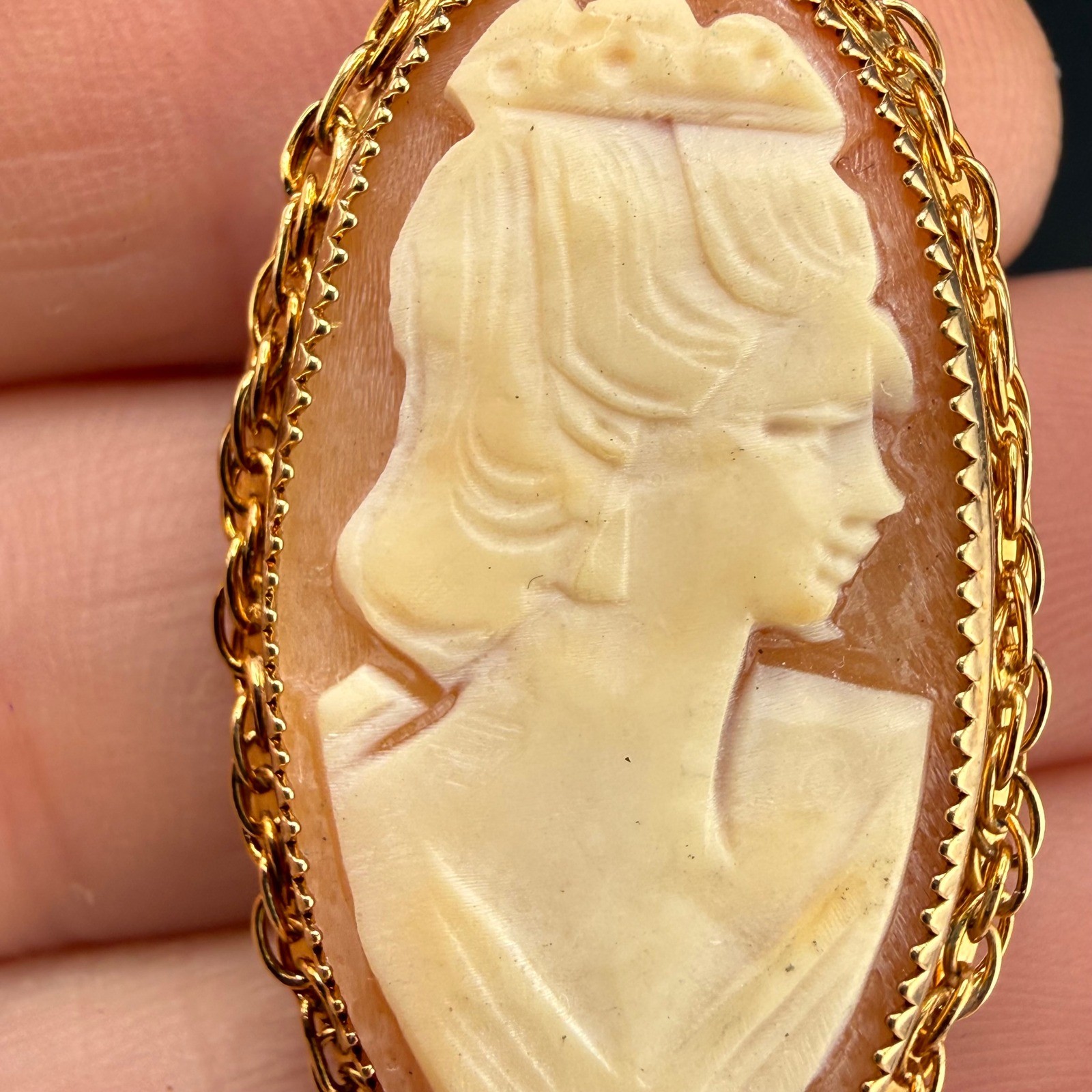 Vintage Cameo Brooch Gold Tone Oval Shell Portrait Carved Pin READ