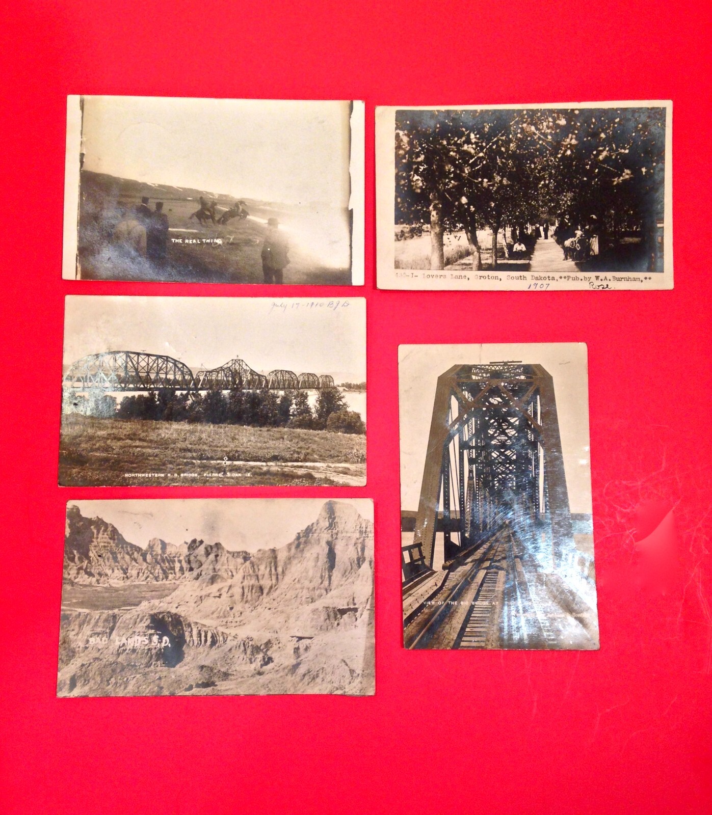 Vintage 1910-1915 South Dakota Lot Of 5 RPPC Postcards Bronco Busting Badlands