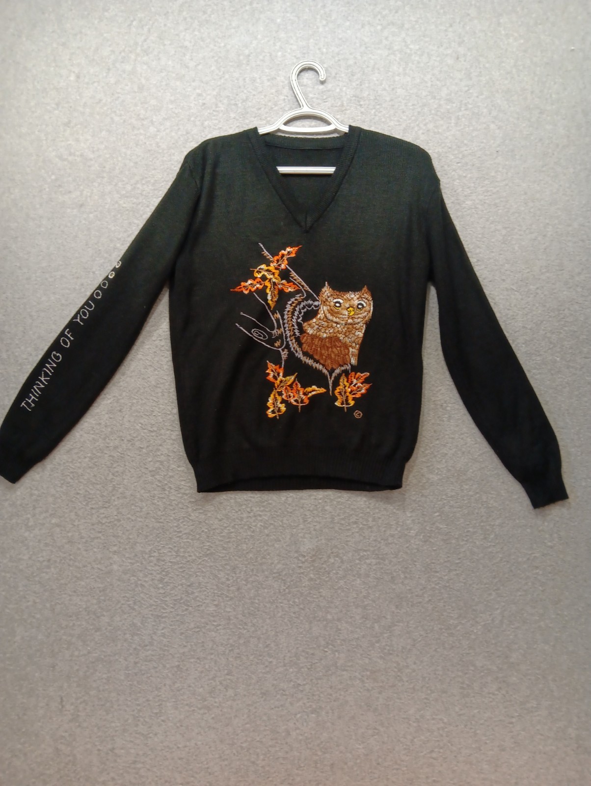 VTG 70s Cyn Les Shirlee Designs V-Neck Sweater Women\'s Size Large Owl Applique