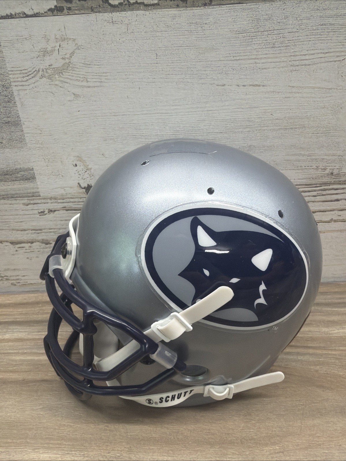 Vintage Custom 2001 Nevada Wolfpack Mini Helmet by Schmitt Vintage Custom 2001 Nevada Wolfpack Mini Helmet by Schmitt