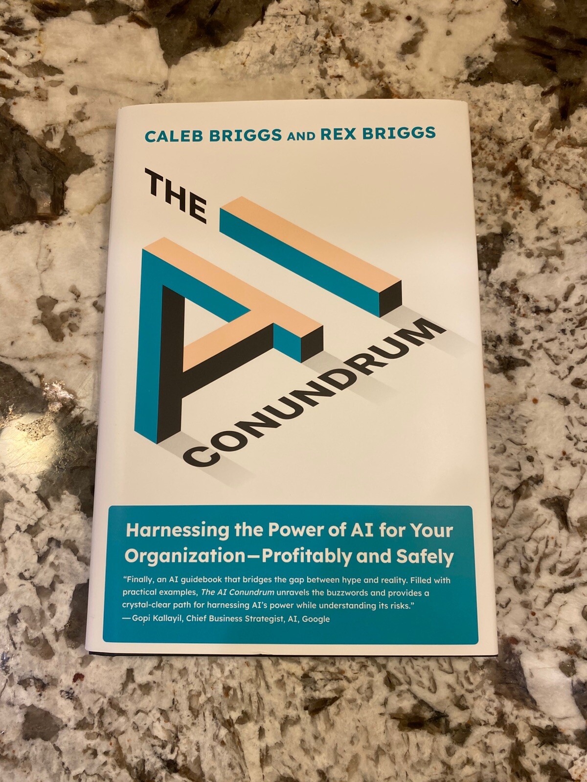 The AI Conundrum: Harnessing the Power of AI for Your Organization--Profitably a