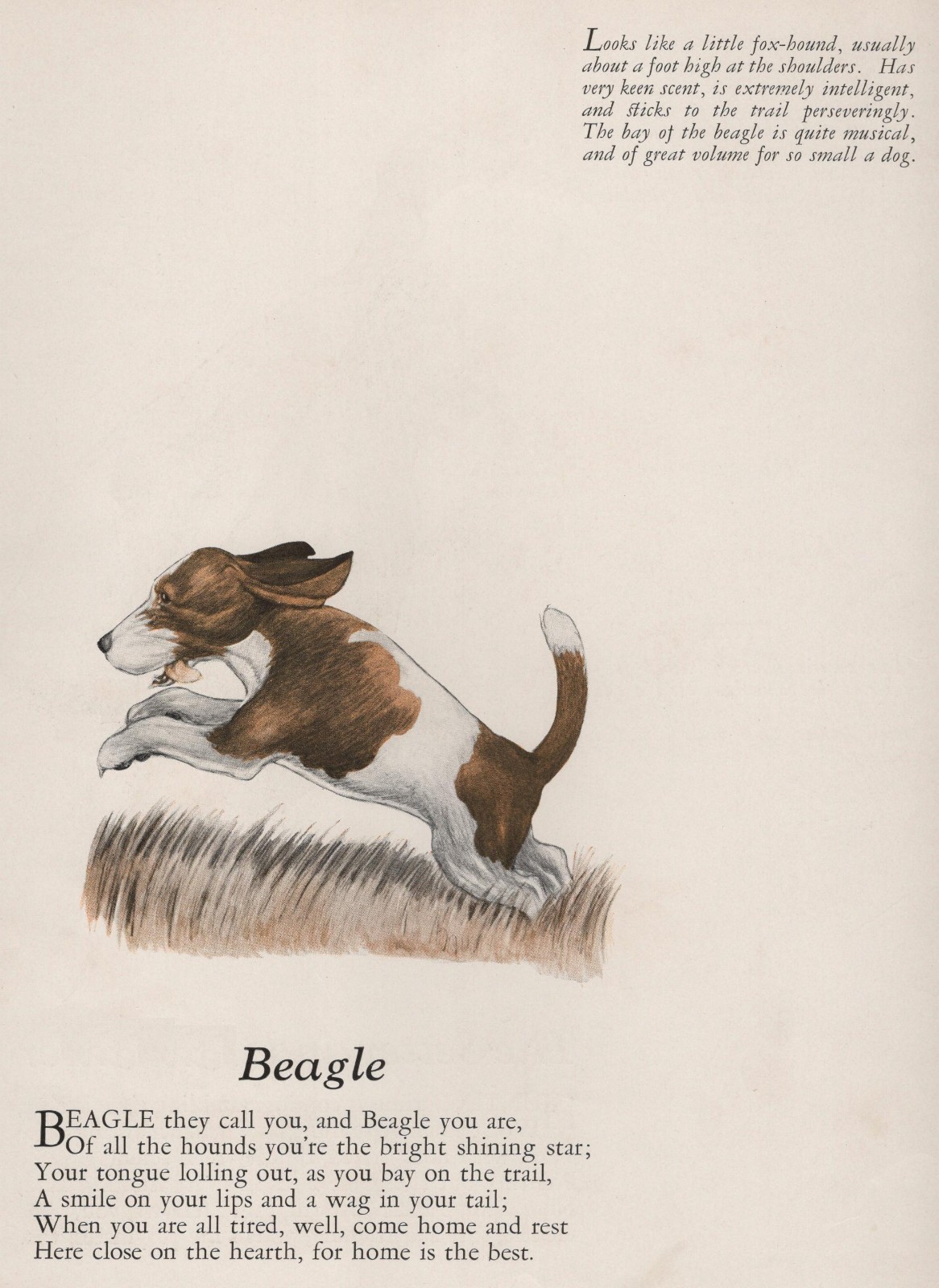 Beagle Dog Print, Description and Poem - CUSTOM MATTED 8 x 10 - NEW