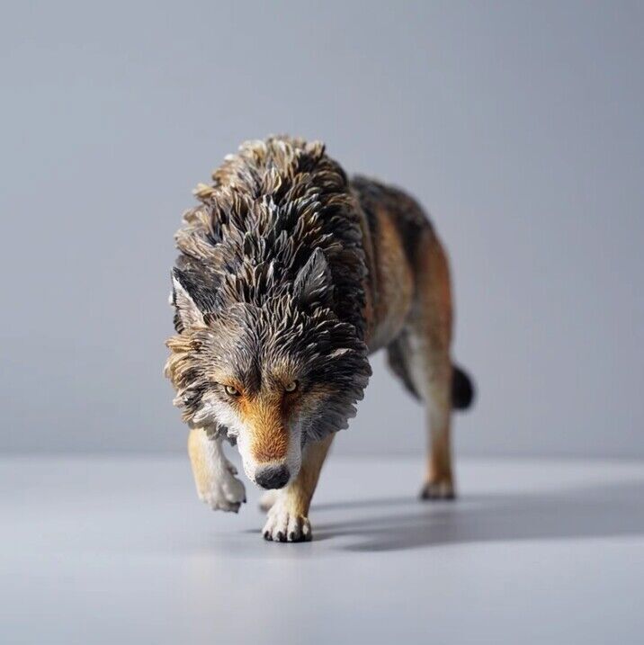 IN Stock JXK 1/6 North American Grey Wolf Animal Figure Model Collectible Toys 