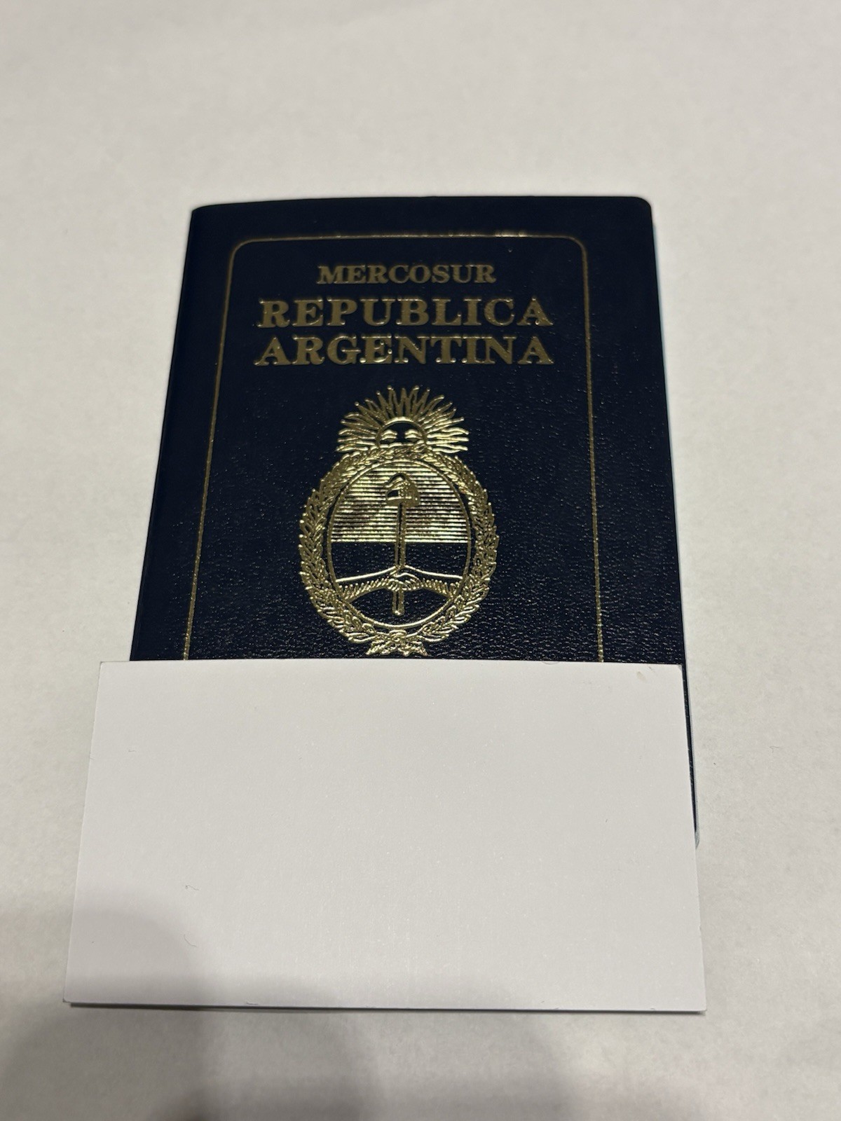 Vintage Expired Argentina MERCOSUR Travel Documents 00s Expiried