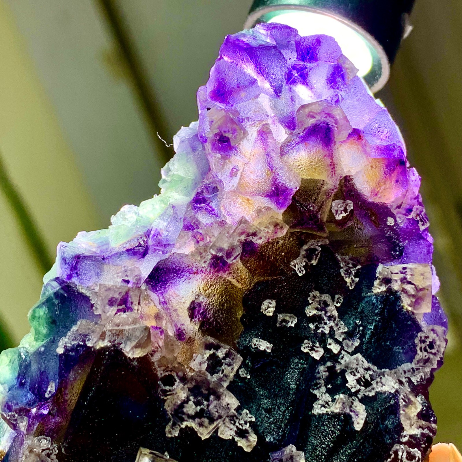 205G Rare Transparent Purple Cube Fluorite Mineral Crystal Specimen/China