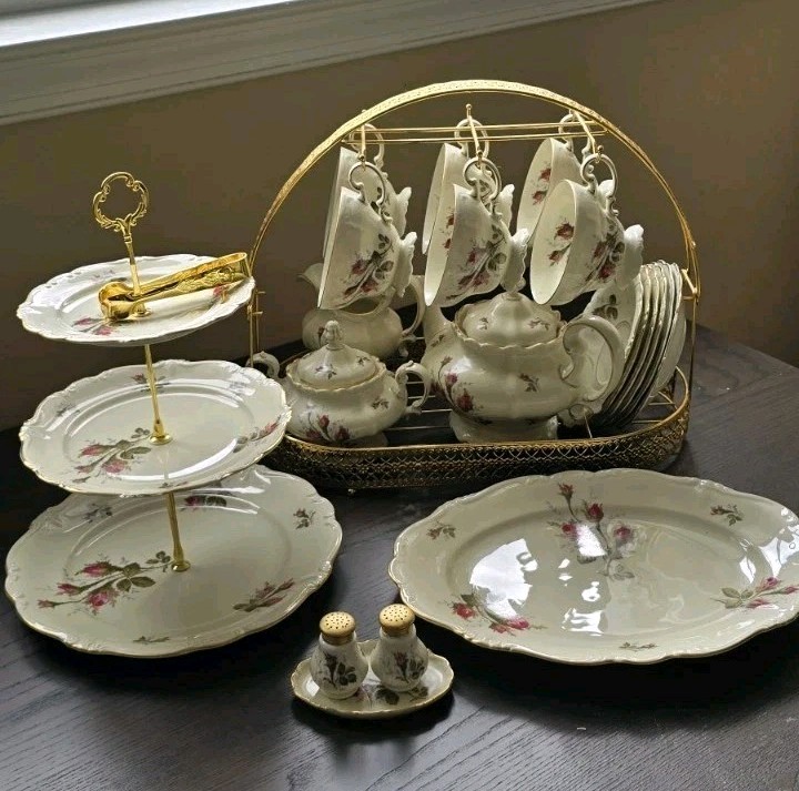 Porcelain Complete Tea Set Of 25PCS- Rosenthal - Pompadour - Moss Rose 