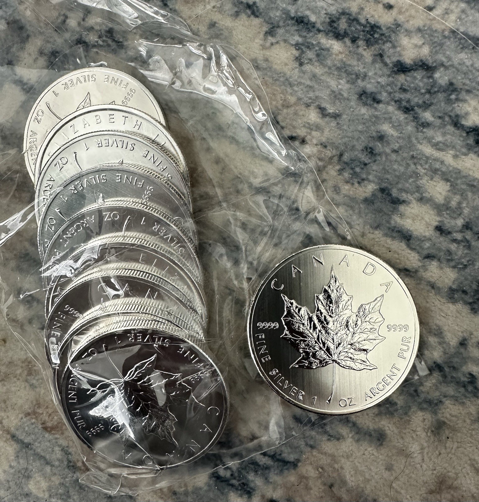 2013 Canadian Silver Maple Leaf 1 Ounce Fine 9999 BU (Discounted) 2013 Canadian Silver Maple Leaf 1 Ounce Fine 9999 BU (Discounted)