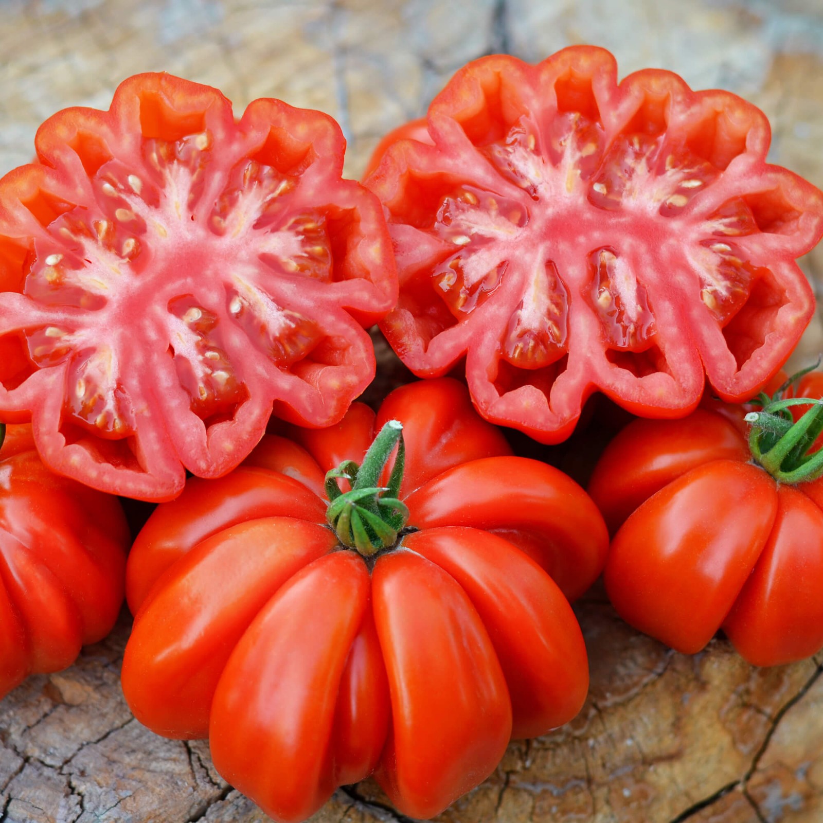 Rosso Sicilian Tomato Seeds | Heirloom / Non-GMO | | 1298 Rosso Sicilian Tomato Seeds | Heirloom / Non-GMO | | 1298