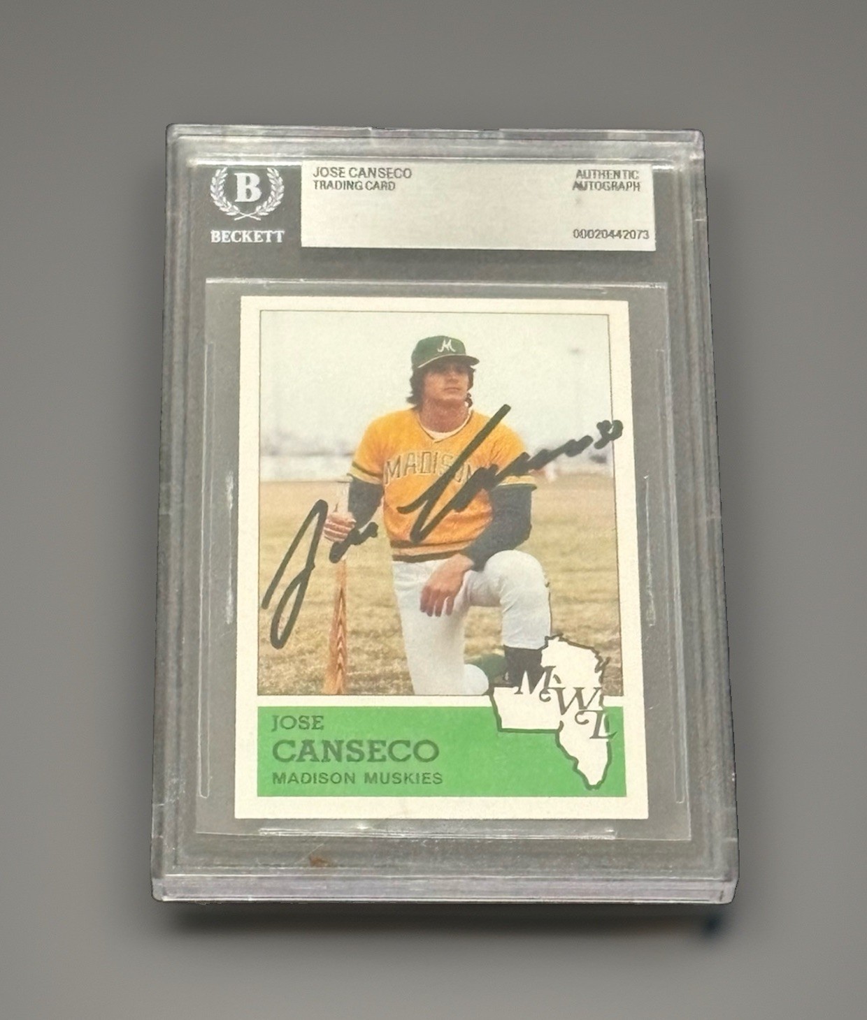 Jose Canseco Autographed 1983 Fritsch Madison Muskies #13 1st Card Beckett