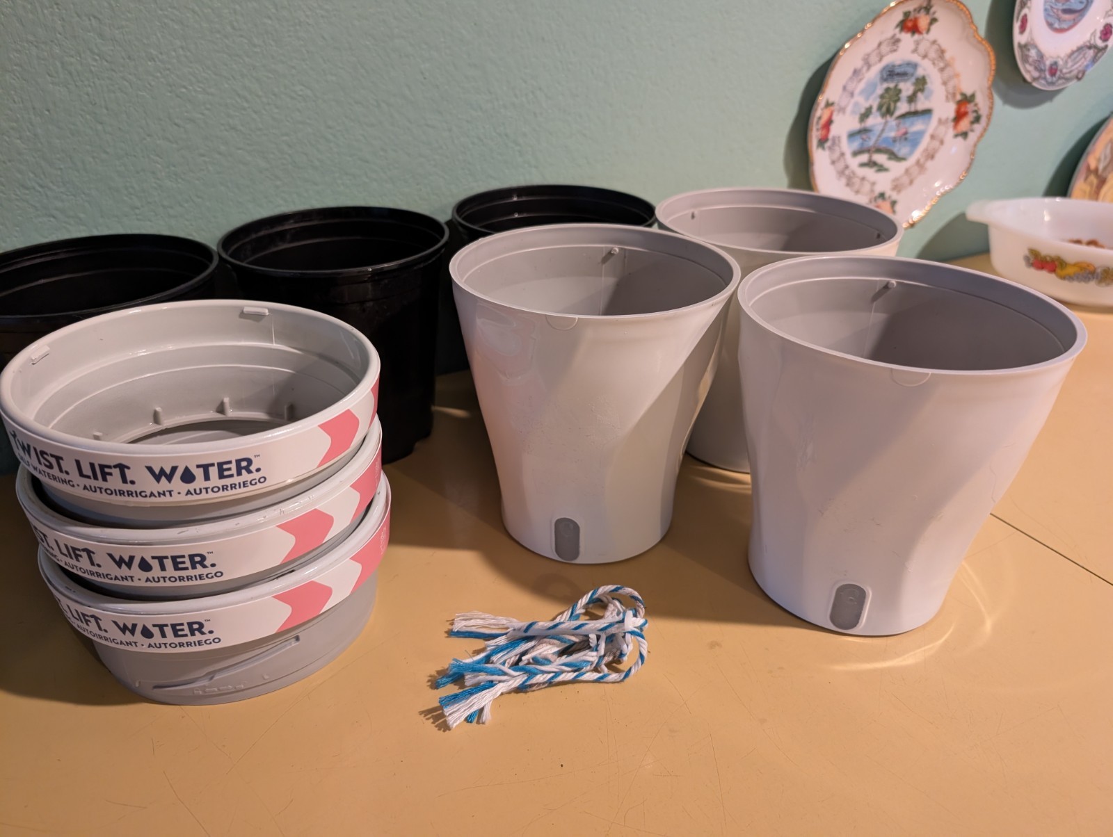 3 Costa Farms Self Watering Planters w/ Wicks & Nursery Liners Pots Twist Lift