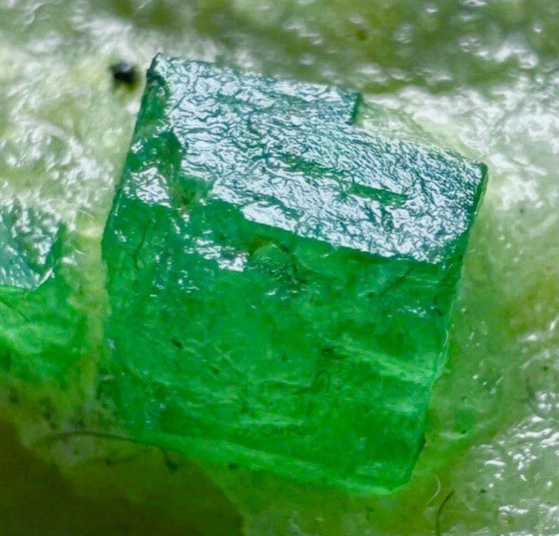 Renowned Raw Bright Green Colombian Emerald Crystal Cluster Matrix Specimen Renowned Raw Bright Green Colombian Emerald Crystal Cluster Matrix Specimen
