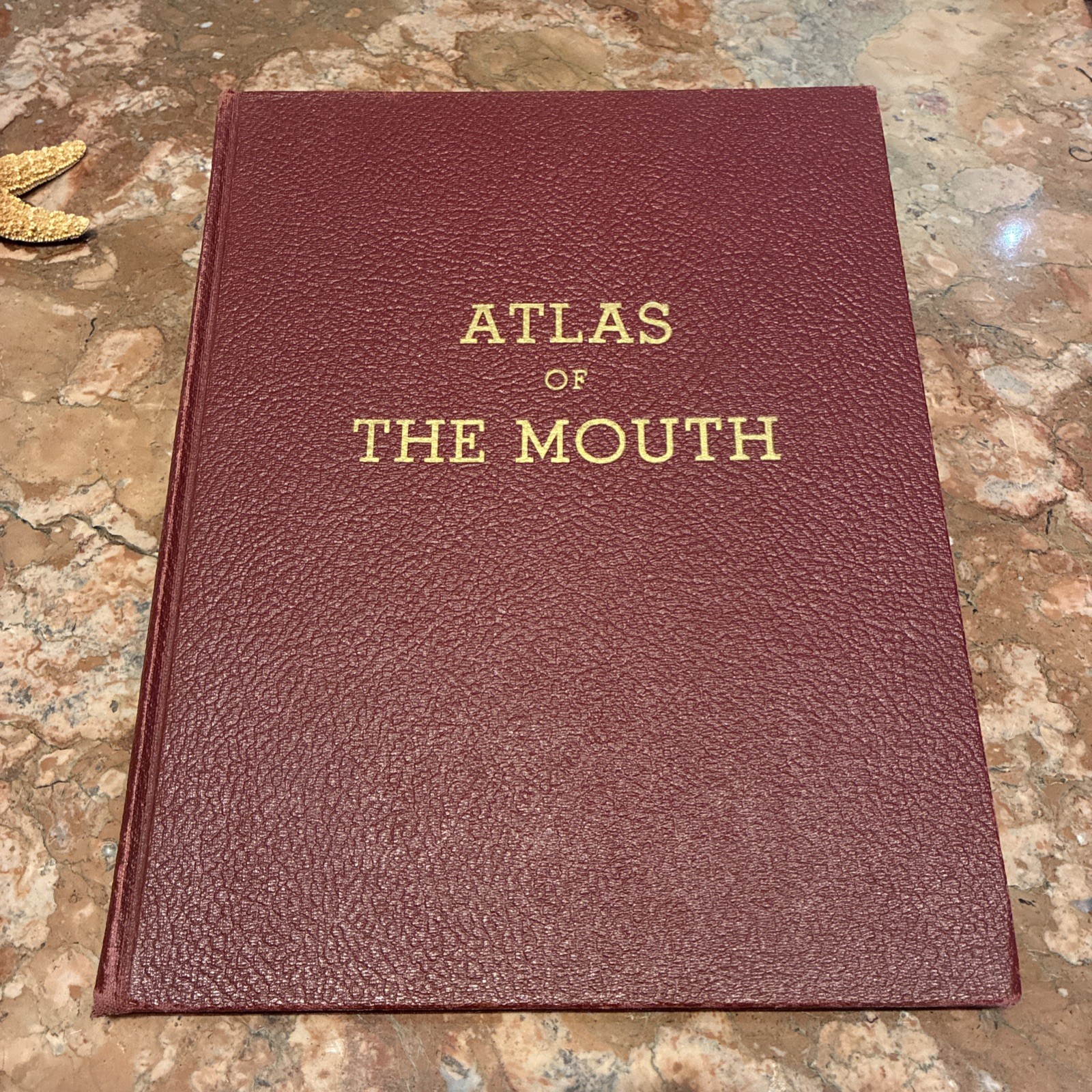 Book Atlas of the Mouth Massler Anatomy Dentistry Medical Oral Surgery Vintage Book Atlas of the Mouth Massler Anatomy Dentistry Medical Oral Surgery Vintage