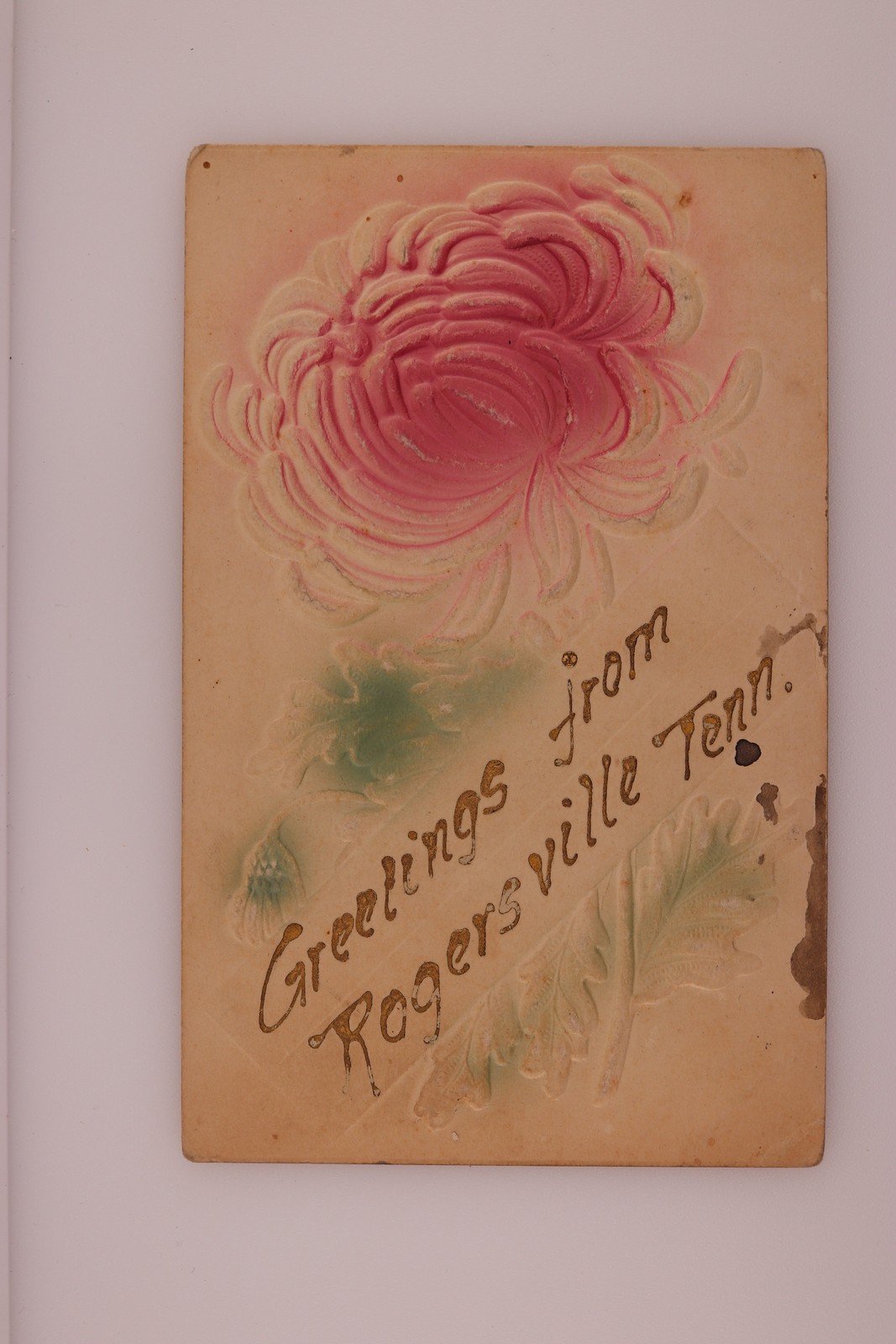 Greetings Rogersville Tenn Embossed Flower Postcard 1903 Kepler TN