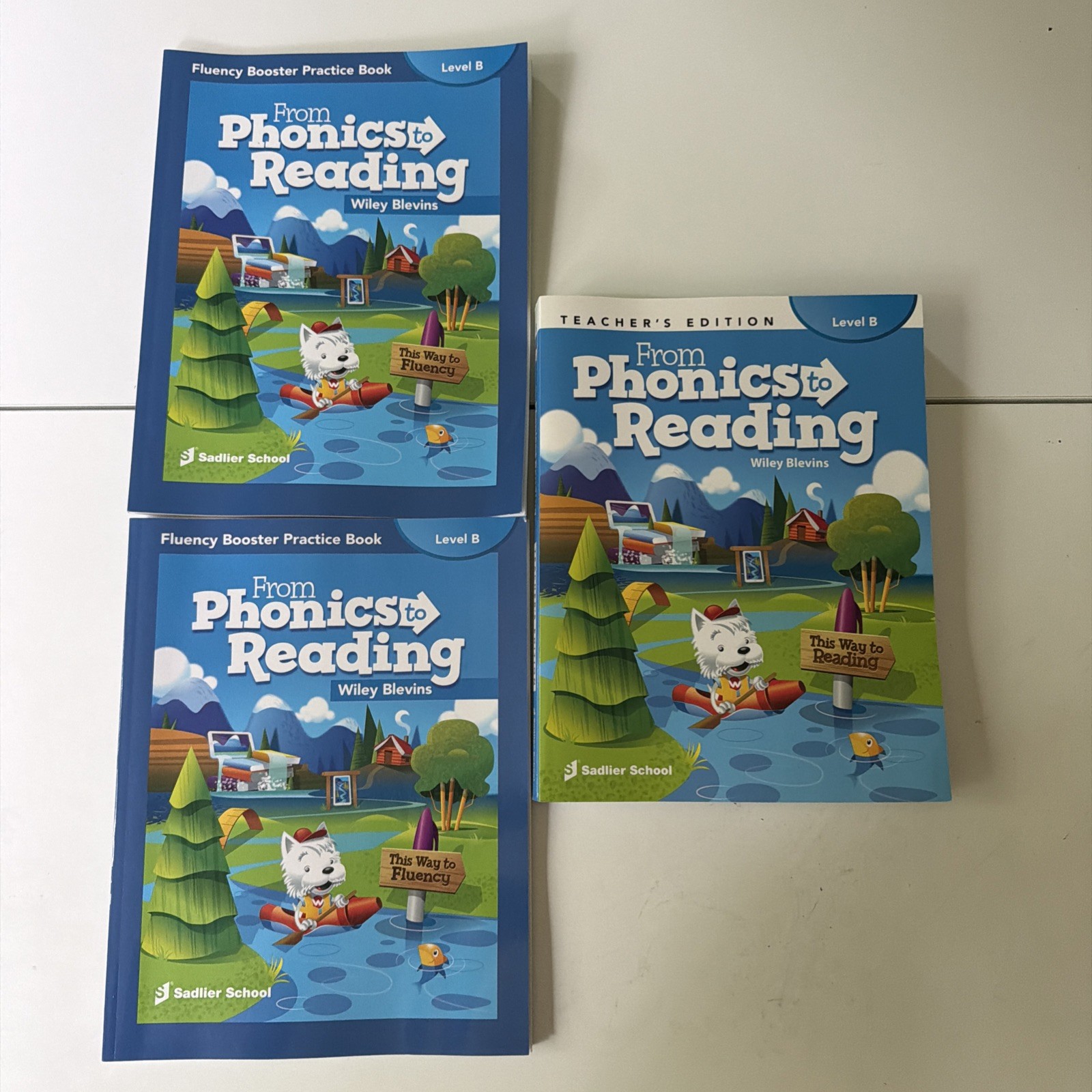 Lot Of 3 From Phonics to Reading Level B Teacher\'s Edition by Wiley Blevins 2 Pr