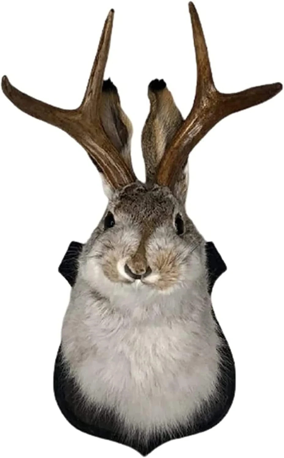 Jackalope Mount, Jackalope Taxidermy, Animal Head Wall Decor, Deer Head Wall Mou Jackalope Mount, Jackalope Taxidermy, Animal Head Wall Decor, Deer Head Wall Mou