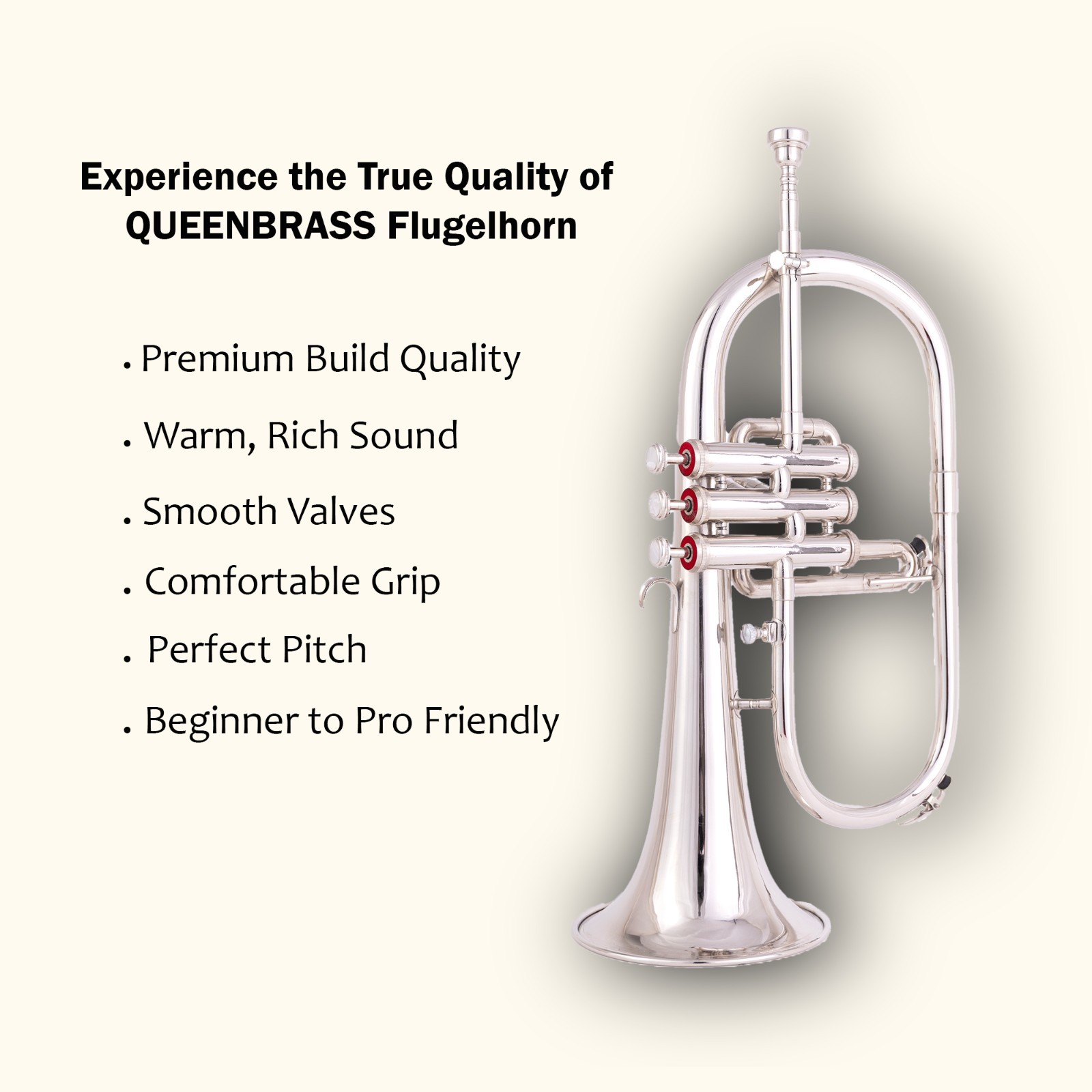 Flugelhorn Sliver  3 Valve  Ultrasonically Clean, Case and Mouthpiece