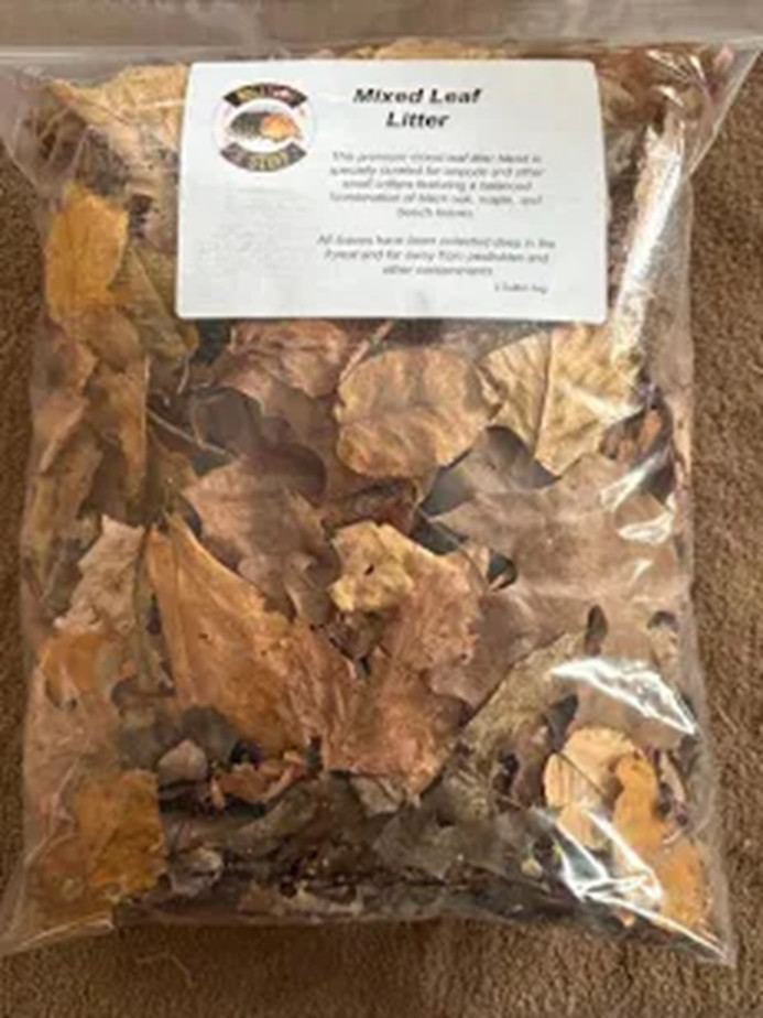 Organic Oak Leaf Litter Isopods Reptile Terrarium Bedding Heat Treated Leaves