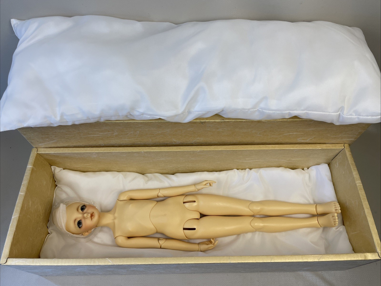 Volks Super Dollfie Body & Unknown Head Possibly Black Cat Lucas HTF In Box