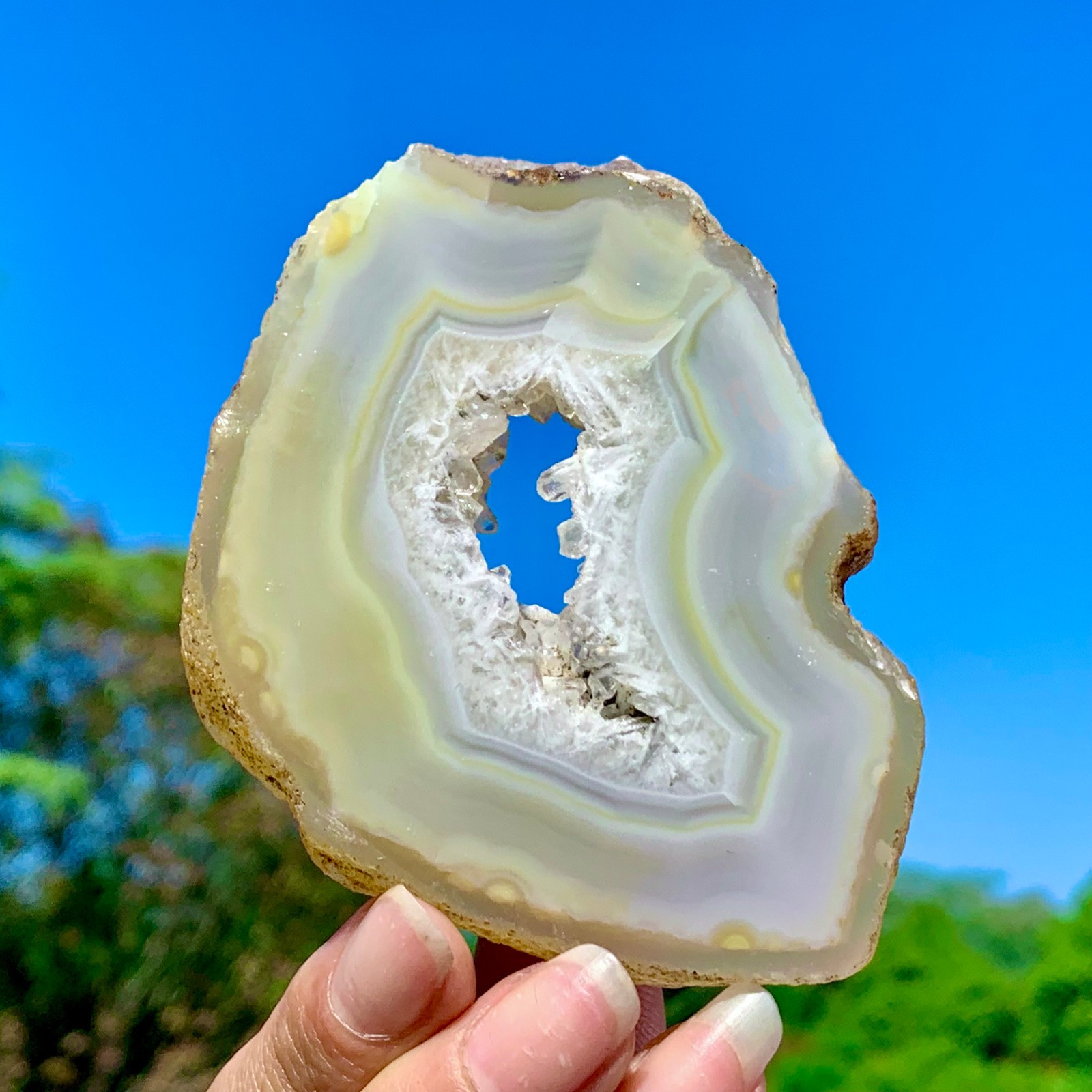138G AAA Grade Natural Beautiful Yellow Agate Geode Druzy Slice Extra Large Gem