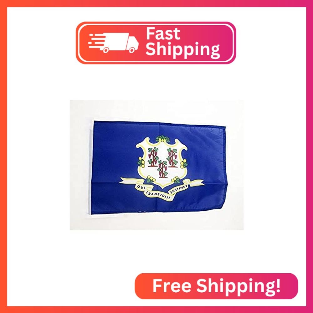AZ FLAG Connecticut Flag 12x18 in American 100D Polyester Cords