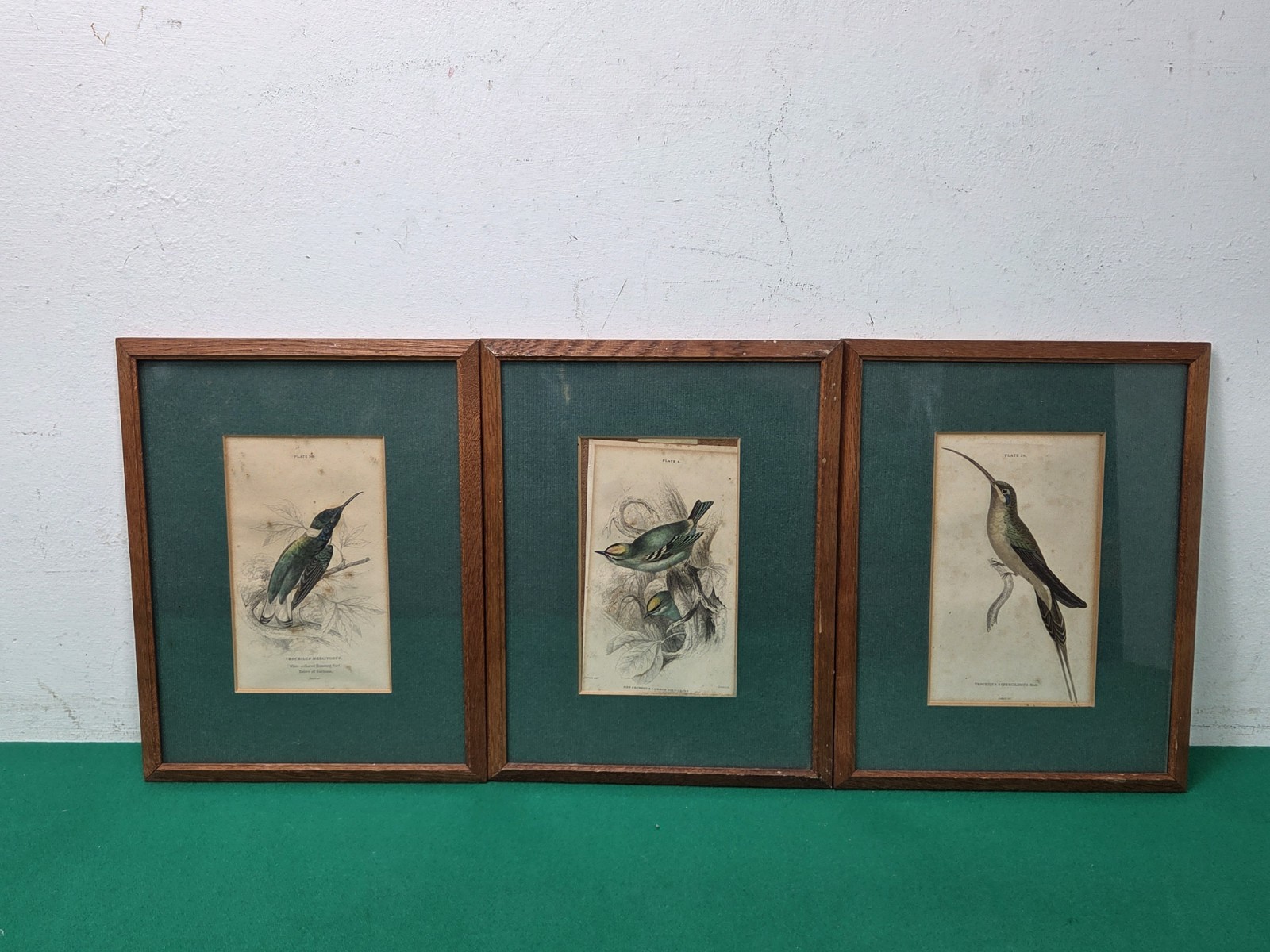 Set of Framed Antique 1833 Hummingbird Prints by Sir William Jardine