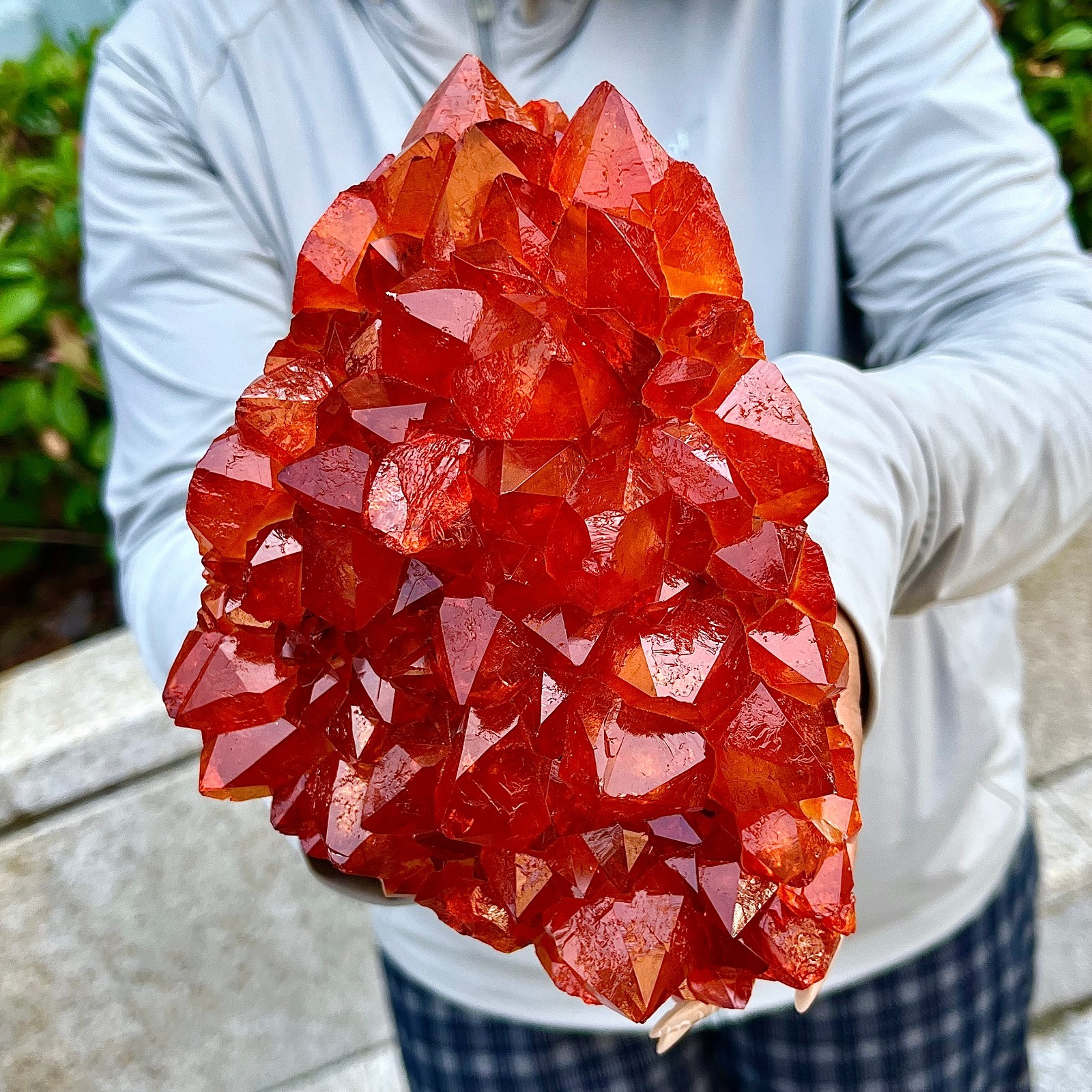 4.27LB  Natural citrine cave quartz cluster crystal sample