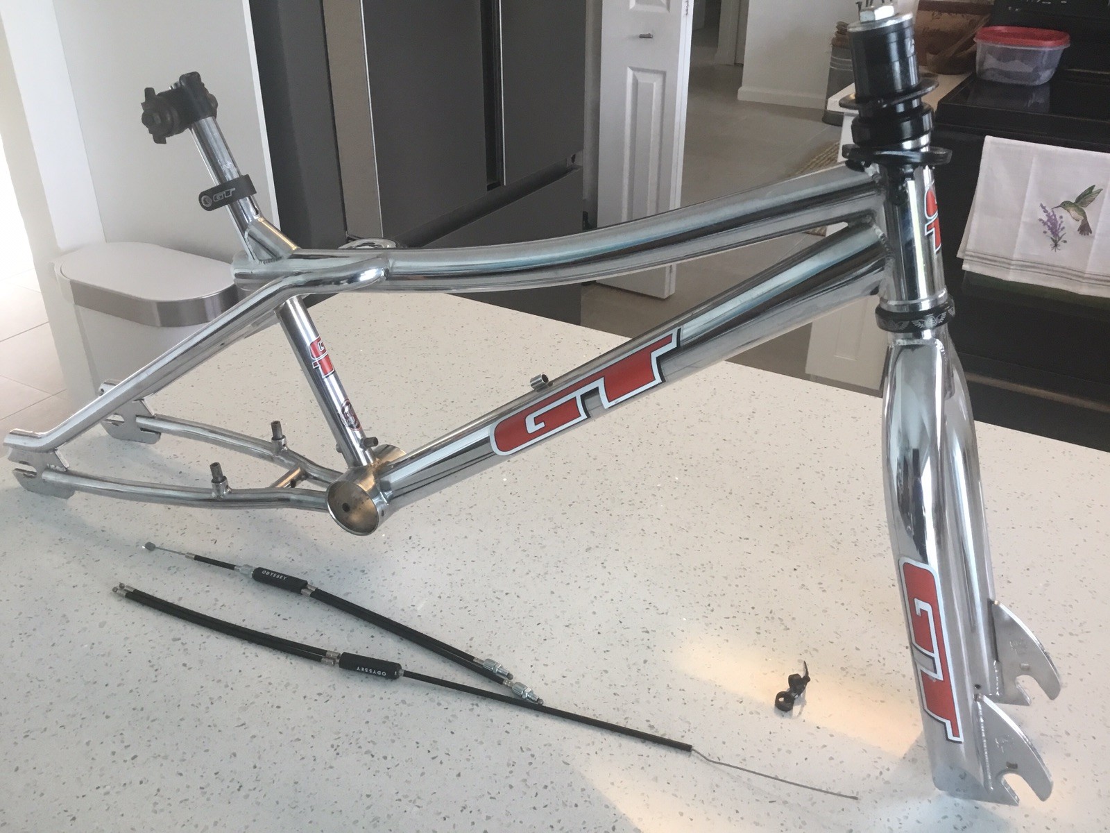 Vintage 1998 GT Bicycles Performer Freestyle BMX 20” Frame (99?) Fork Set Chrome Vintage 1998 GT Bicycles Performer Freestyle BMX 20” Frame (99?) Fork Set Chrome