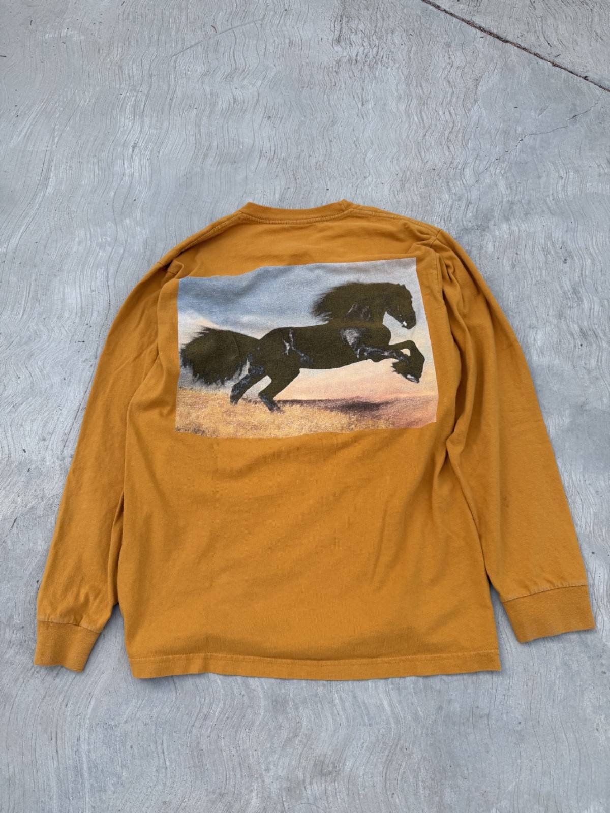 Supreme FW14 Stallion Black Beauty Long Sleeve T Shirt Yellow
