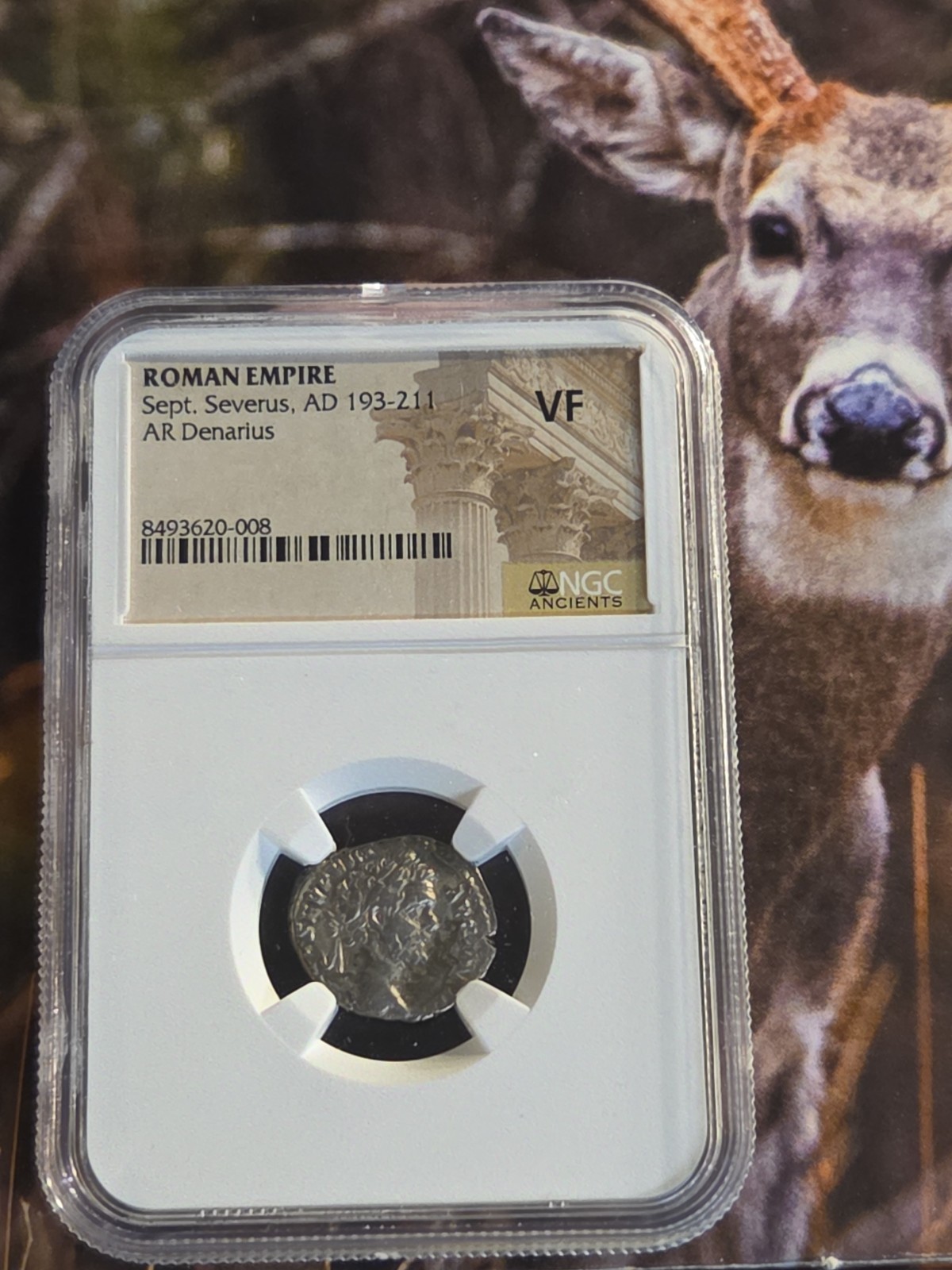 Sept.Severus..AD-193-211 AR.DENARIUS NGC HOLDER GRADED VF AND NICE. Sept.Severus..AD-193-211 AR.DENARIUS NGC HOLDER GRADED VF AND NICE.
