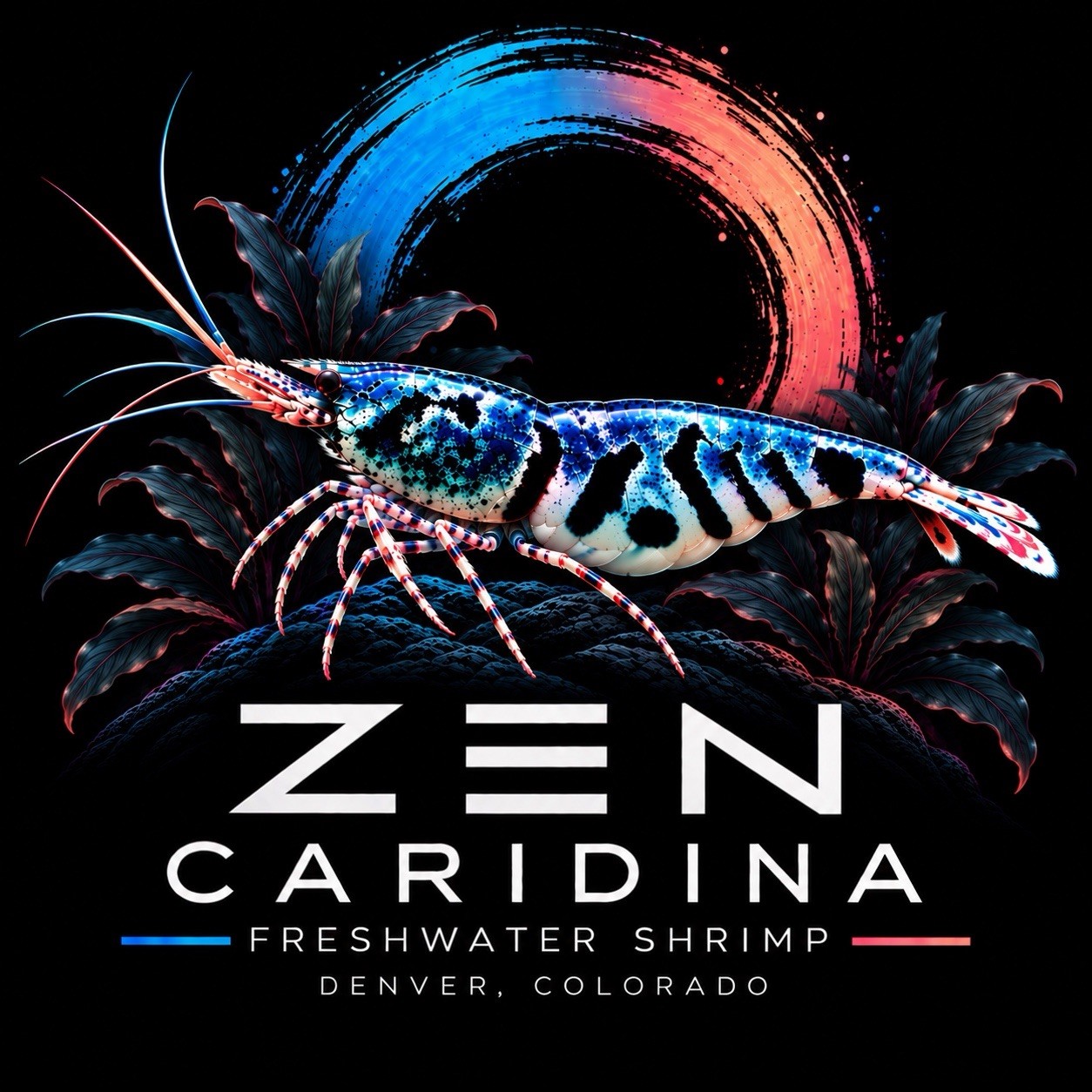 Caridina Shrimp- 40 Mixed Higher Grade Juveniles