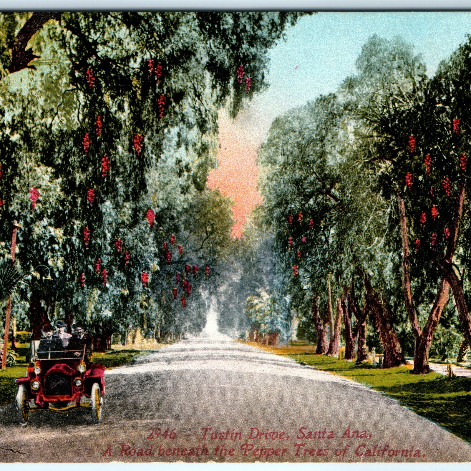 c1910s Santa Ana, CA Postcard Tustin Drive Early Auto Pepper Trees Mitchell A24