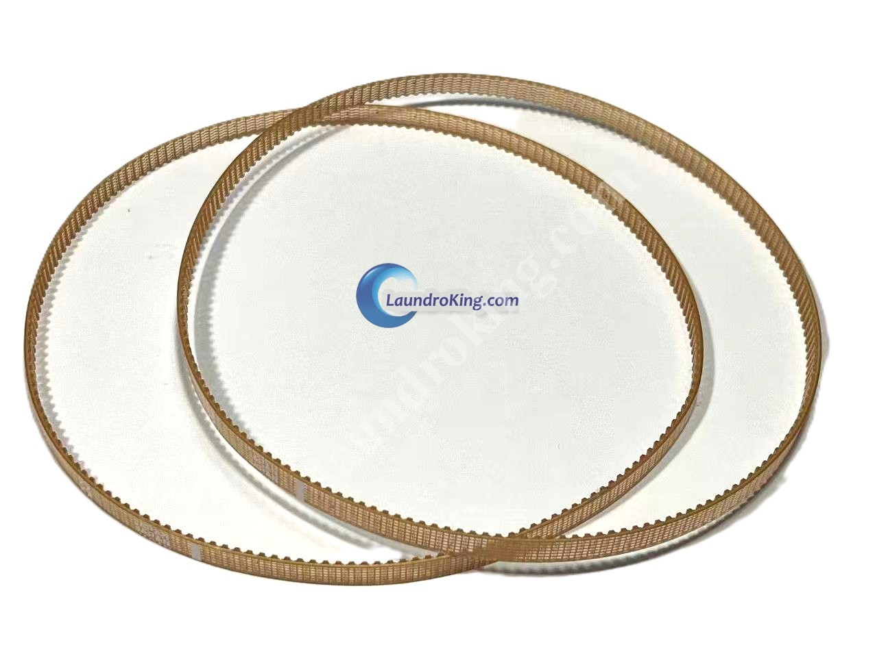 927205  (2 PIECES)  COINCO VANTAGE BELT KIT