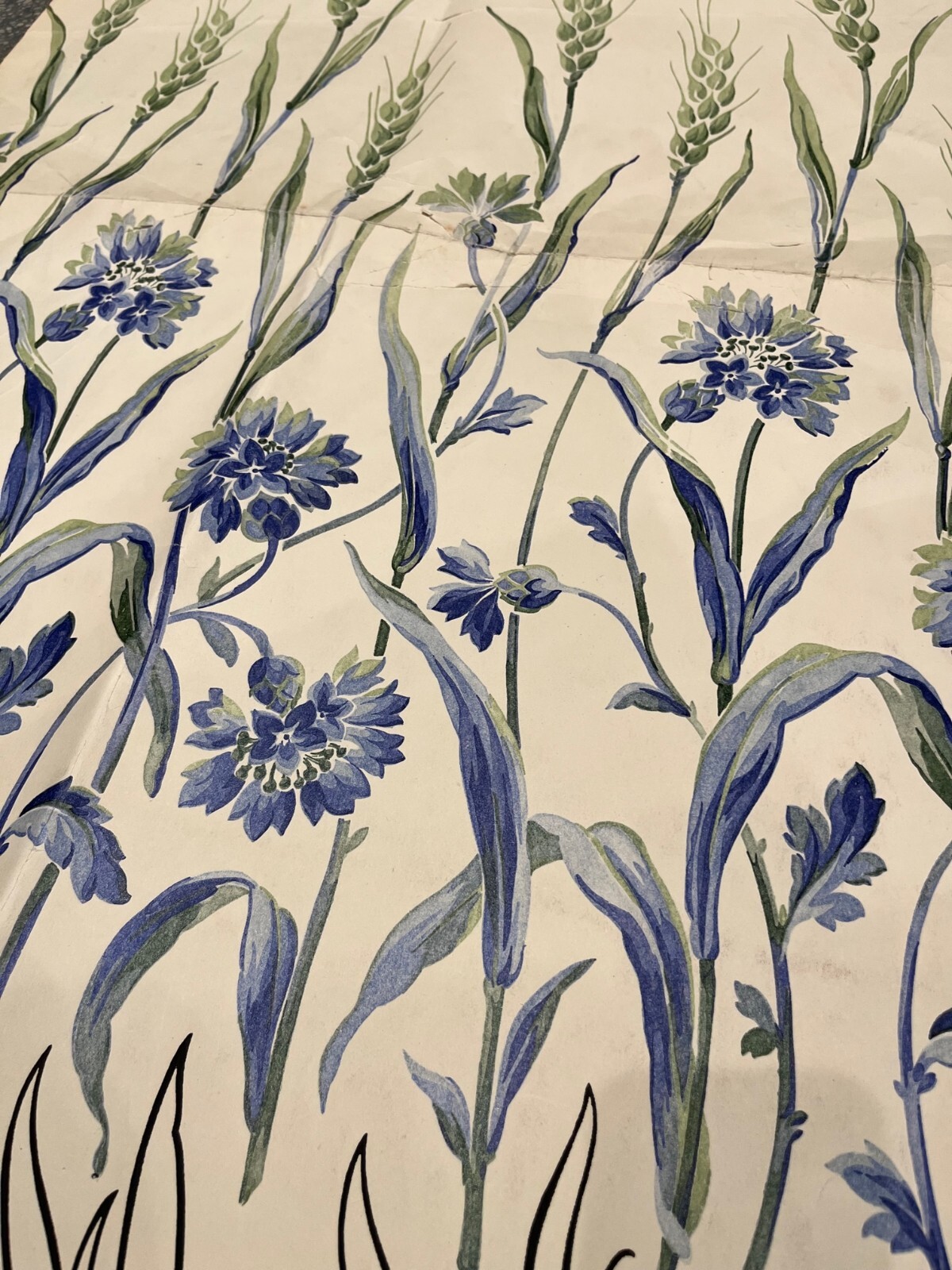  Early 20th Century French Cornflowers Imprint on Paper for textile development 
