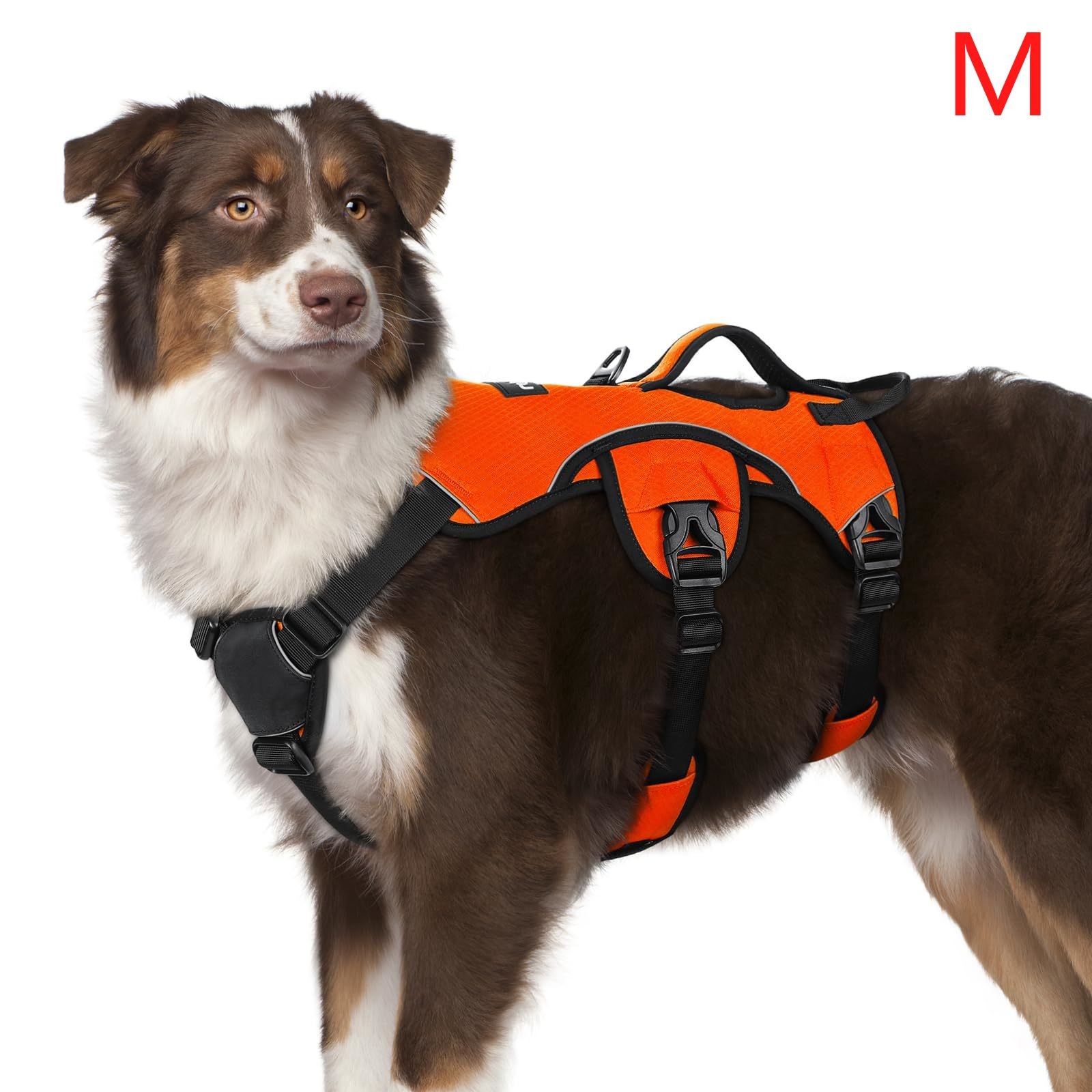 rabbitgoo Pet Dog Harness with Lift Handle Escape Proof Adjustable Vest Orange M rabbitgoo Pet Dog Harness with Lift Handle Escape Proof Adjustable Vest Orange M