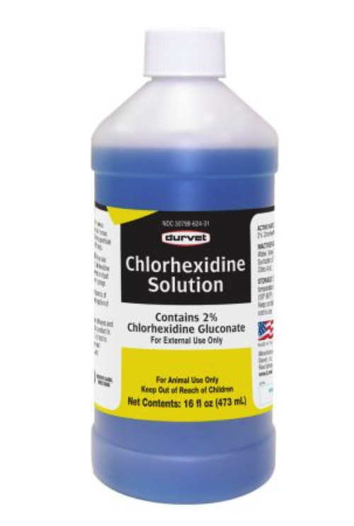 Chlorhexidine 2% Solution for Horses Dogs 16oz Durvet