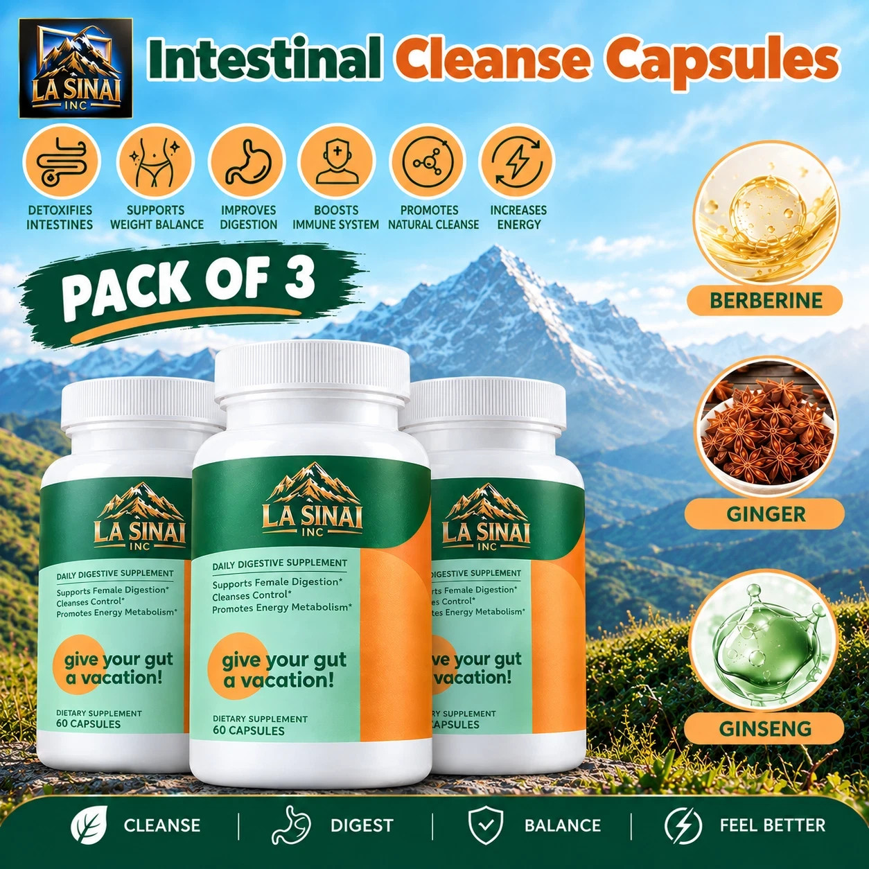 3 Pack Emma Gut Health Supplement 180 Capsules for Bloating Relief & Leaky Gut