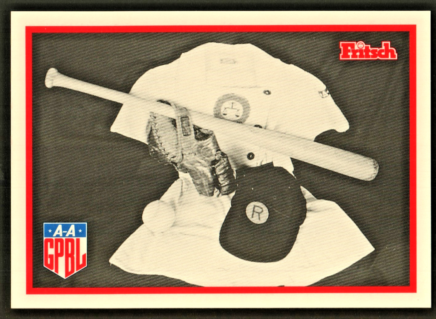 1995 Fritsch AAGPBL Card #231