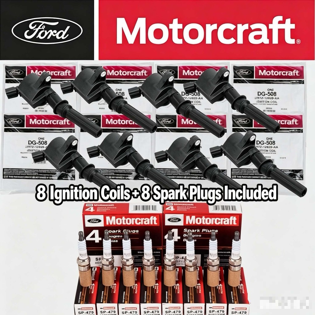8Set Genuine OEM Ignition Coil DG508 &Spark Plug SP479 For Ford F150 4.6L 5.4L 8Set Genuine OEM Ignition Coil DG508 &Spark Plug SP479 For Ford F150 4.6L 5.4L