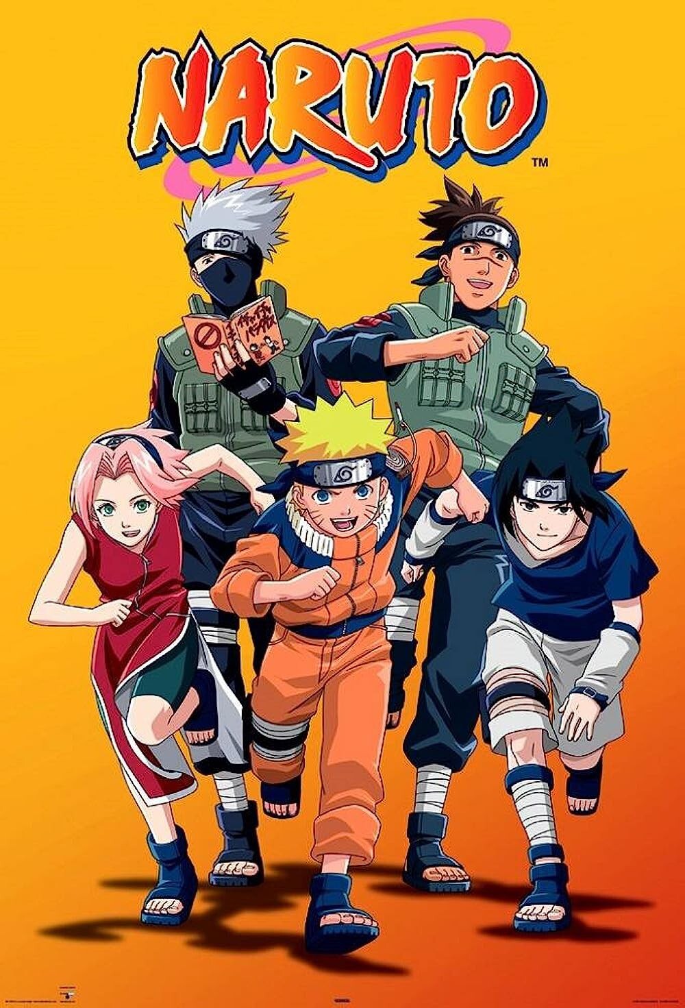 Naruto and Naruto Shippuden Complete Series Anime English DVD Naruto and Naruto Shippuden Complete Series Anime English DVD
