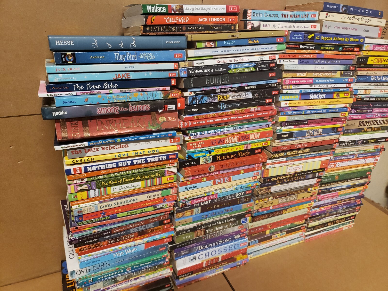 Lot of 20 Chapter ALL SCHOLASTIC Children Young YOUTH RANDOM UNSORTED BOOKS MIX Lot of 20 Chapter ALL SCHOLASTIC Children Young YOUTH RANDOM UNSORTED BOOKS MIX