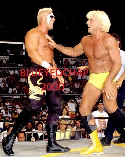 STING VS RIC FLAIR WRESTLER 8 X 10 WRESTLING PHOTO NWA WCW