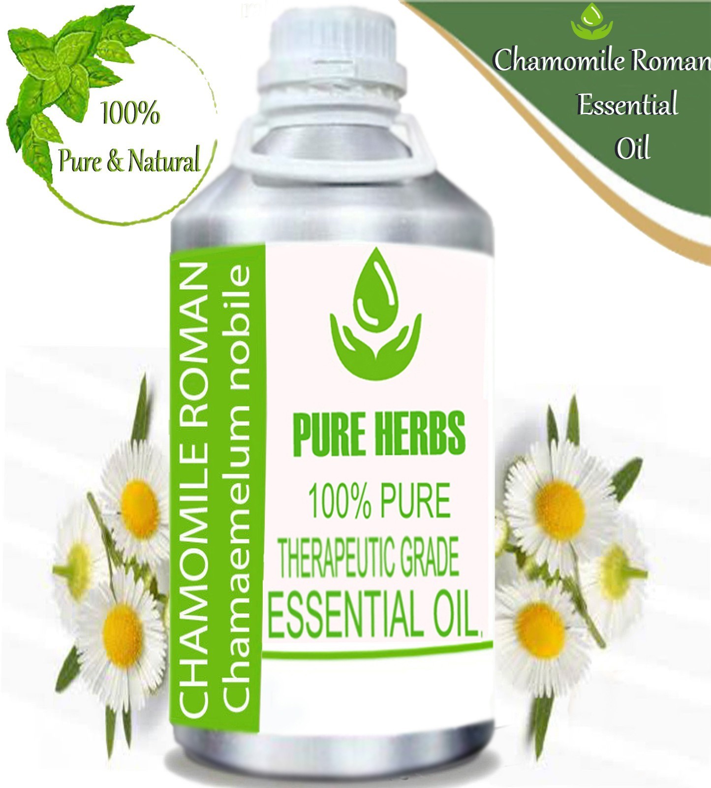 Pure Herbs Chamomile Roman 100% Pure Chamaemelum Nobile Essential Oil Cf683
