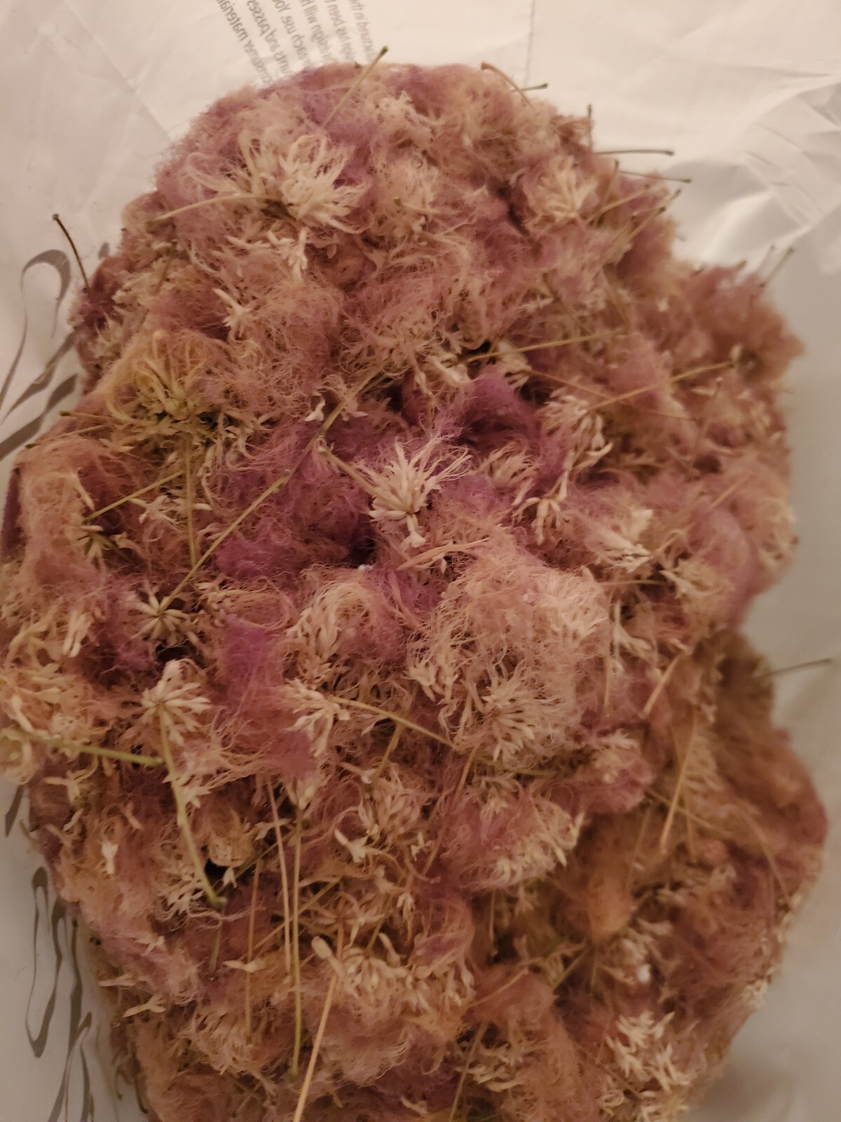 100g Mimosa Silk Tree Flowers Edible Albizia Julibrissin Tea Herb Harvest 2026