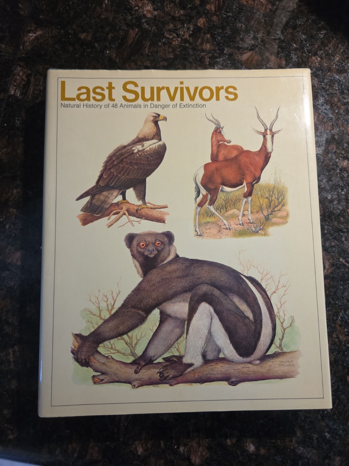 Vintage 1970s Last Survivors Book Vintage 1970s Last Survivors Book