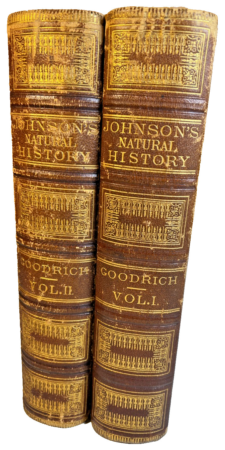 Antique Victorian Book Johnson’s Natural History Vol I & II 1852 Leather Ornate
