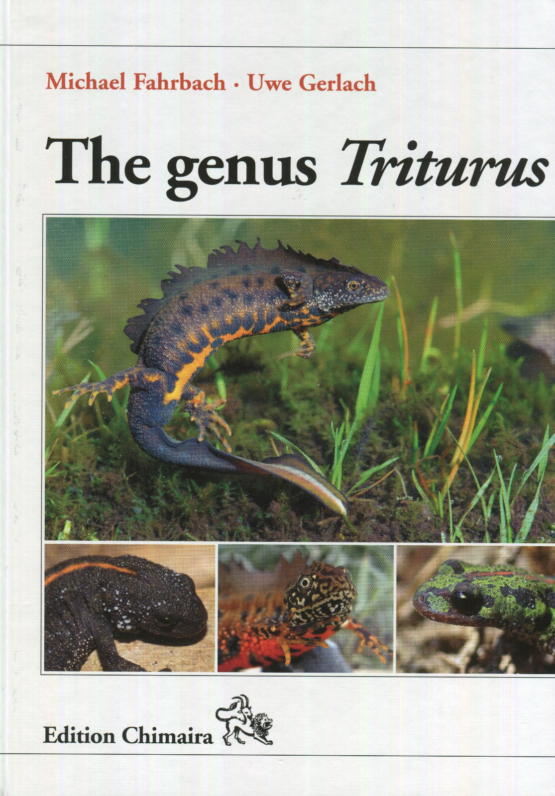 The Genus Triturus - Eurasian Newts